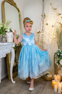 Cinderella Transformation Dress